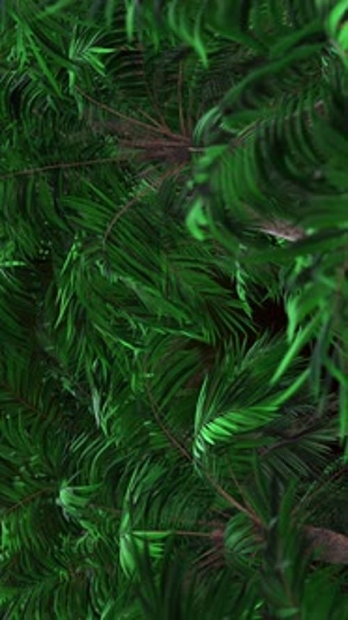 Dynamic Tropical Green Palm Leaves Swaying Motion Background