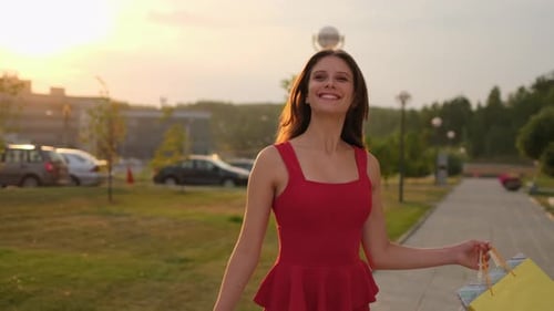 Femme, femme, fille, souriante, faisant du shopping, tenant des sacs à provisions et souriant