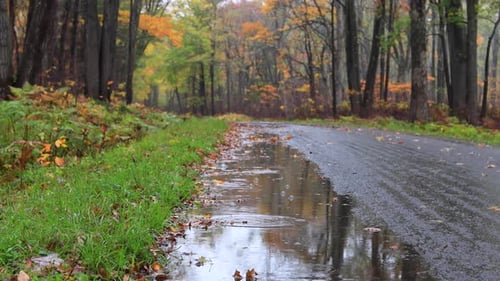 Rain drops on road in Autumn