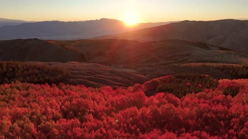 Wunderschöner Herbstwald bei Sonnenuntergang, Luftaufnahme