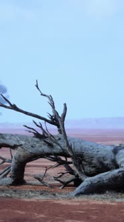 A Barren Desert Landscape with a Lone Dead Tree