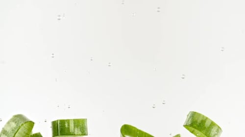 Macro Shot of Aloe Vera Sliced Slice Falling Down in Water and Air Bubbles on White Background