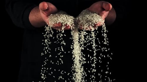 Uncooked Rice Falls From Men's Hands