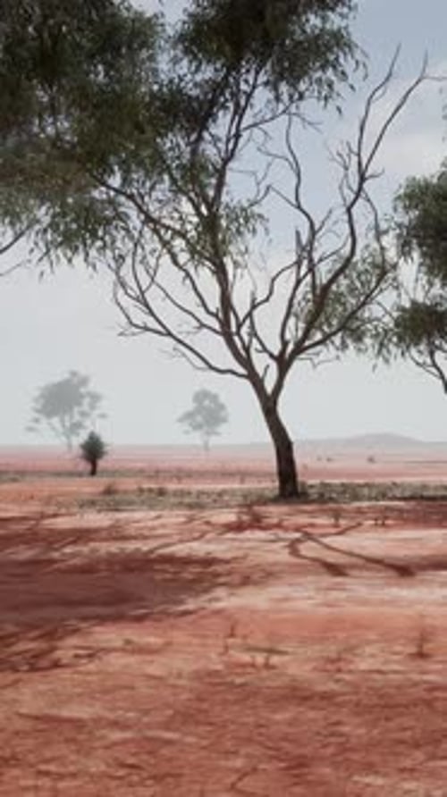 A Scenic Landscape with Red Dirt Field and Trees in the Distance