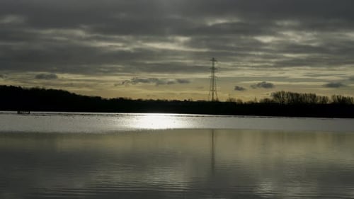 Flooded Woodland views of a tall tree covered in moss. Under the canopy of the English forest. Risin