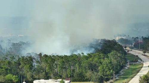 Aerial View of Fire Department Firetrucks Extinguishing Wildfire Burning Severely in Florida Jungle