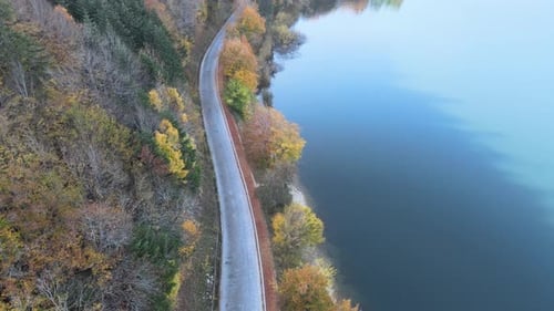autumn aerial view