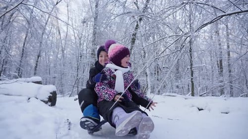 Happy Children Riding Sleds in a Snowy Forest