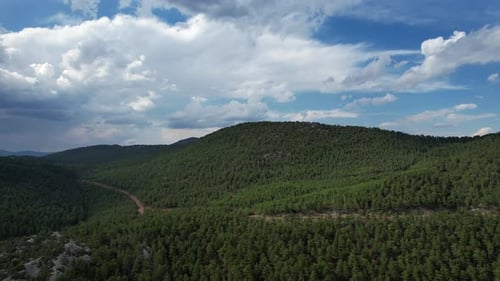 Mountains Behind The Forest