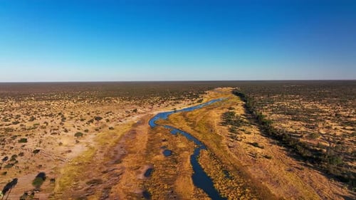 Aerial view of the Boteti river, Botswana, Africa.