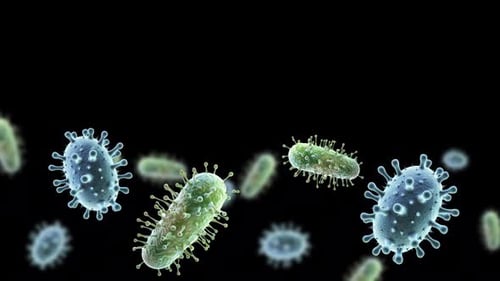 3D Animation of Microscopic Viruses and Bacteria Floating