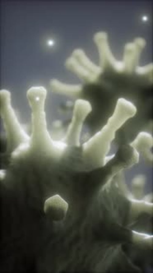 3D Animated Microscopic Virus or Bacterium Cell