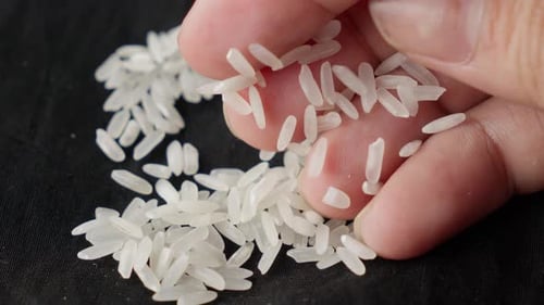 Close-up view of polished long grain rice held in fingers