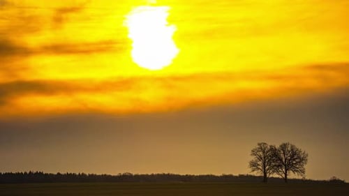 Vivid yellow sunrise timelapse with trees and fiery sky