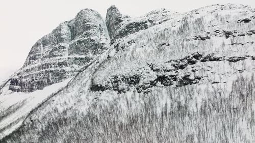 Majestic Snow Covered Mountain Peak Overlooking a Silent Winter Forest Wilderness