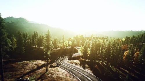 An Empty Road Winding Through a Picturesque Forest at Sunset