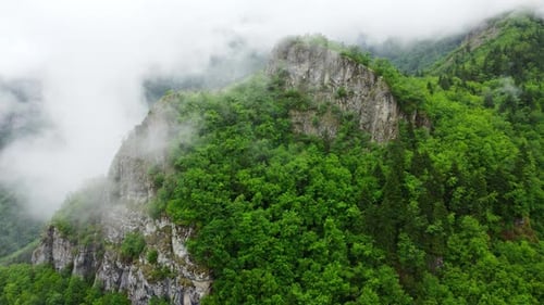 Nature Clouds in Mountains Summer Forest Morning Fog Over Trees Aerial Beautiful Landscape Go