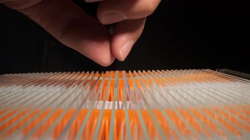 Scientist Placing Microscope Slide in Laboratory Storage Rack
