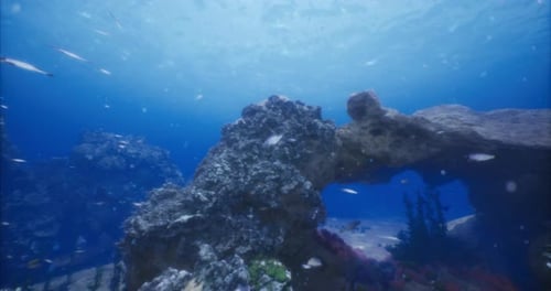 Beautiful Underwater Ocean Scene with Coral Reef and Small Fish