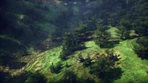 Carpathian Mountains Moody Weather Landscape