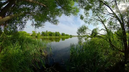 Summer Landscape with Lake