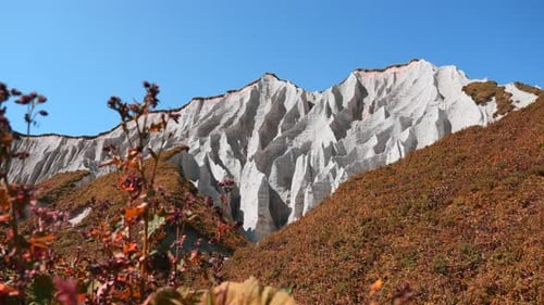 Volcanic white rocks with erosion and amazing vegetation. Natural attraction with rocky landscape.