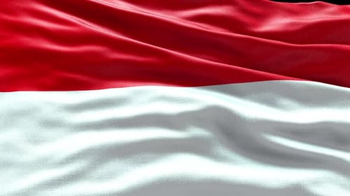 Realistic Red and White Waving Flag Seamless Loop