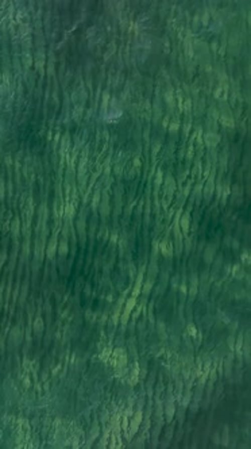 Vertical Video Aerial Discovery Exploring the Magical Sea Water Texture and Golden Sand