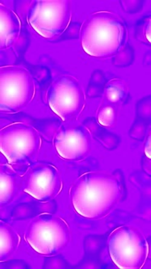 Lavalamp Pink Liquid Blobs