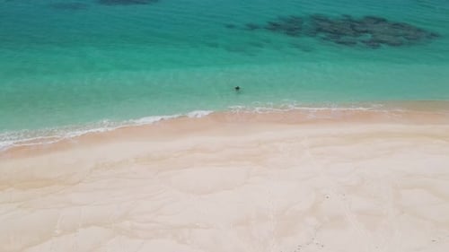 Young Man Swimming in the Sea