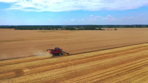 Combine Harvester Working in Golden Wheat Field