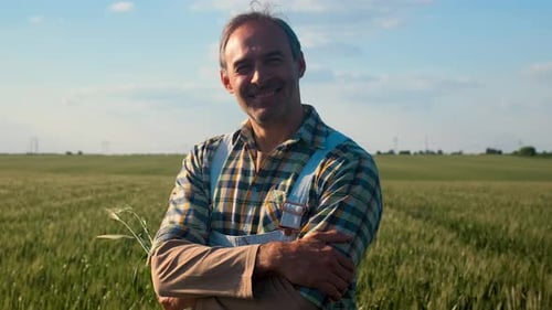 Confident farmer standing in wheat field examining crop in his hands.