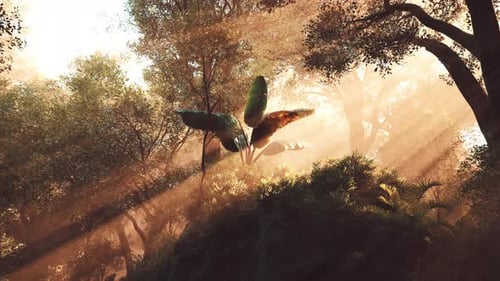 Sunlight Filters Through Trees in a Tranquil Forest Setting at Dawn