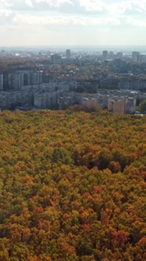Aerial view on autumn forest in city scenery