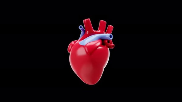 Digital Polygonal Heartbeat with Glowing ECG Line Animation ...