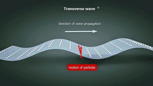 Transverse Wave Propagation and Particle Motion Animated Explanation