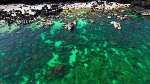 Aerial Orbit Shot of Clear Tropical Sea and Rocky Shoreline