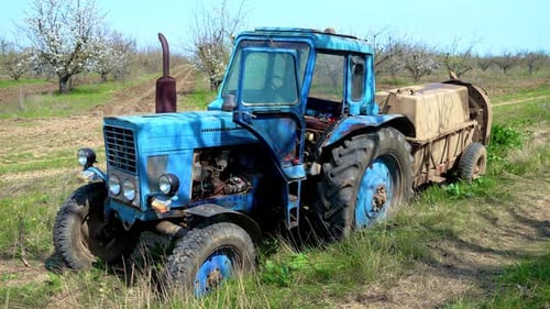Old Blue Agricultural Tractor Stands in Orchard and Prepares to Spray Pesticides on Flowering Trees