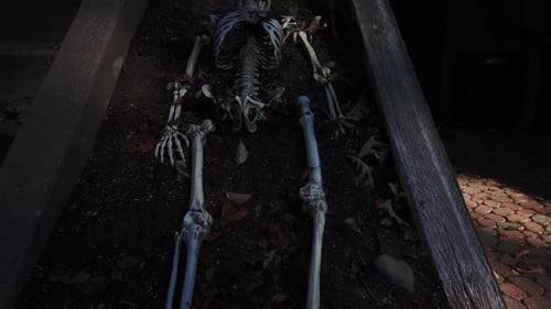 Slow reveal of a Halloween skeleton lying in the dirt and shadows