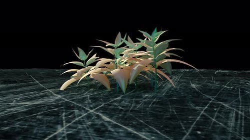 Stylized Geometric Plant Growth Animation