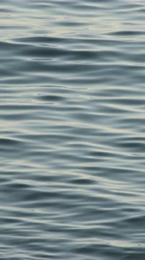 Blue Waves