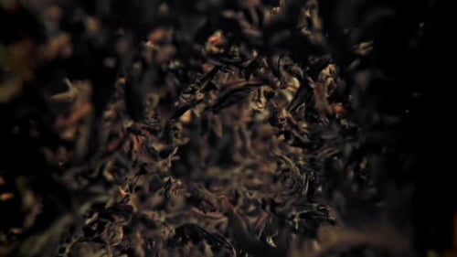 Tea Leaves Flowing in Slow Motion