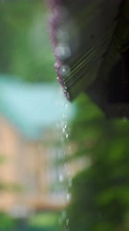 Raindrops Falling From a Roof in a Lush Green Area During a Calm Rainy Day