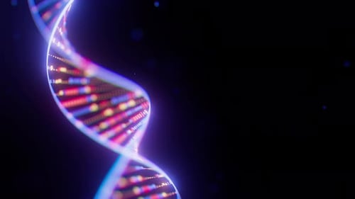 Abstrakte digitale DNA-Doppelhelix-Spirale mit Datenflussschleifenanimation Medizinwissenschaftliches Konzept von