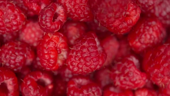 Close Up Rotation Raspberry Macro Red Fresh Raspberries Fruit Rotation ...