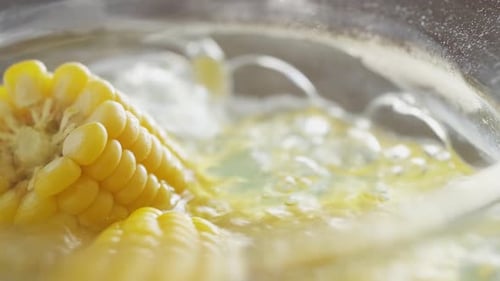 Boiling Corn on the Cob in Water