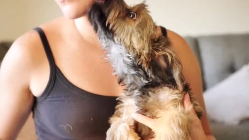 Woman Holding Cute Brown Puppy Indoors