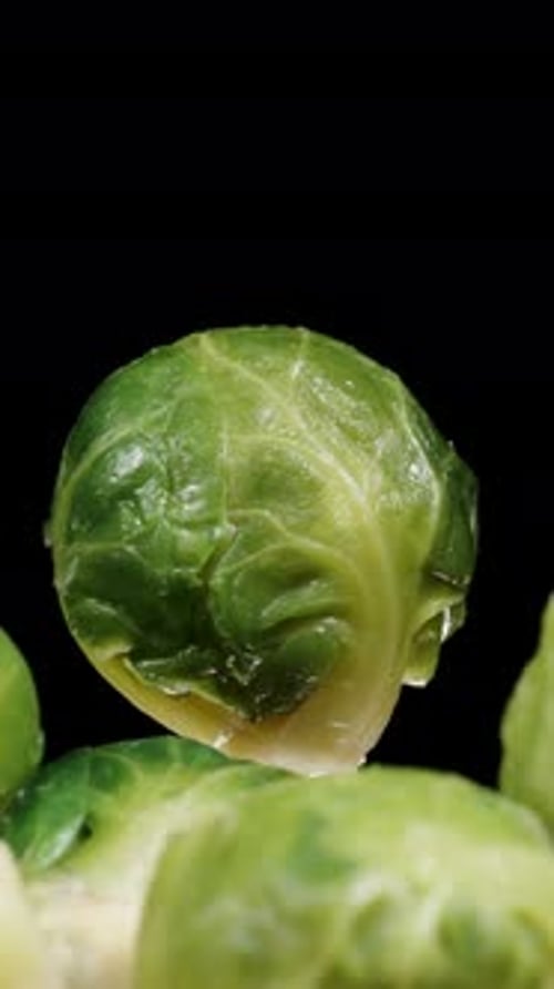 Vertical video. Scattered raw Brussels sprouts on a table against a black background, with one rotat