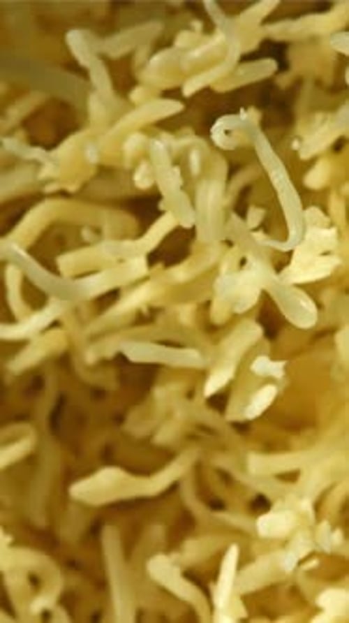 Shredded Cheese Flies Up Filmed on a Highspeed Camera at 1000 Fps