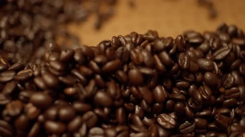 SLOW MOTION TRACKING SHOT OF COFFEE BEANS AT A COFFEE SHOP